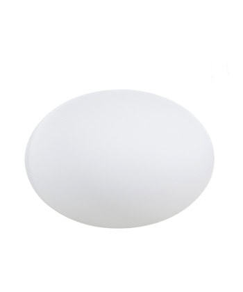 Eggy Pop - Utelampe