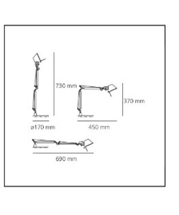 Alternative view of Tolomeo Micro T Gold