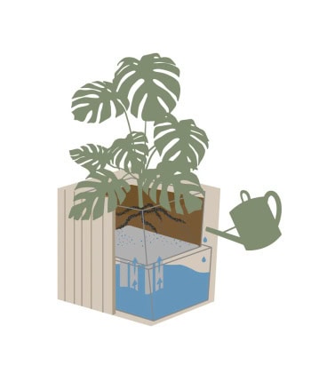 Alternative view of GrowMore -Eik natur