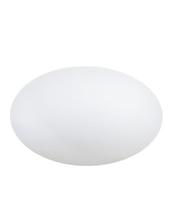 Eggy Pop - 55