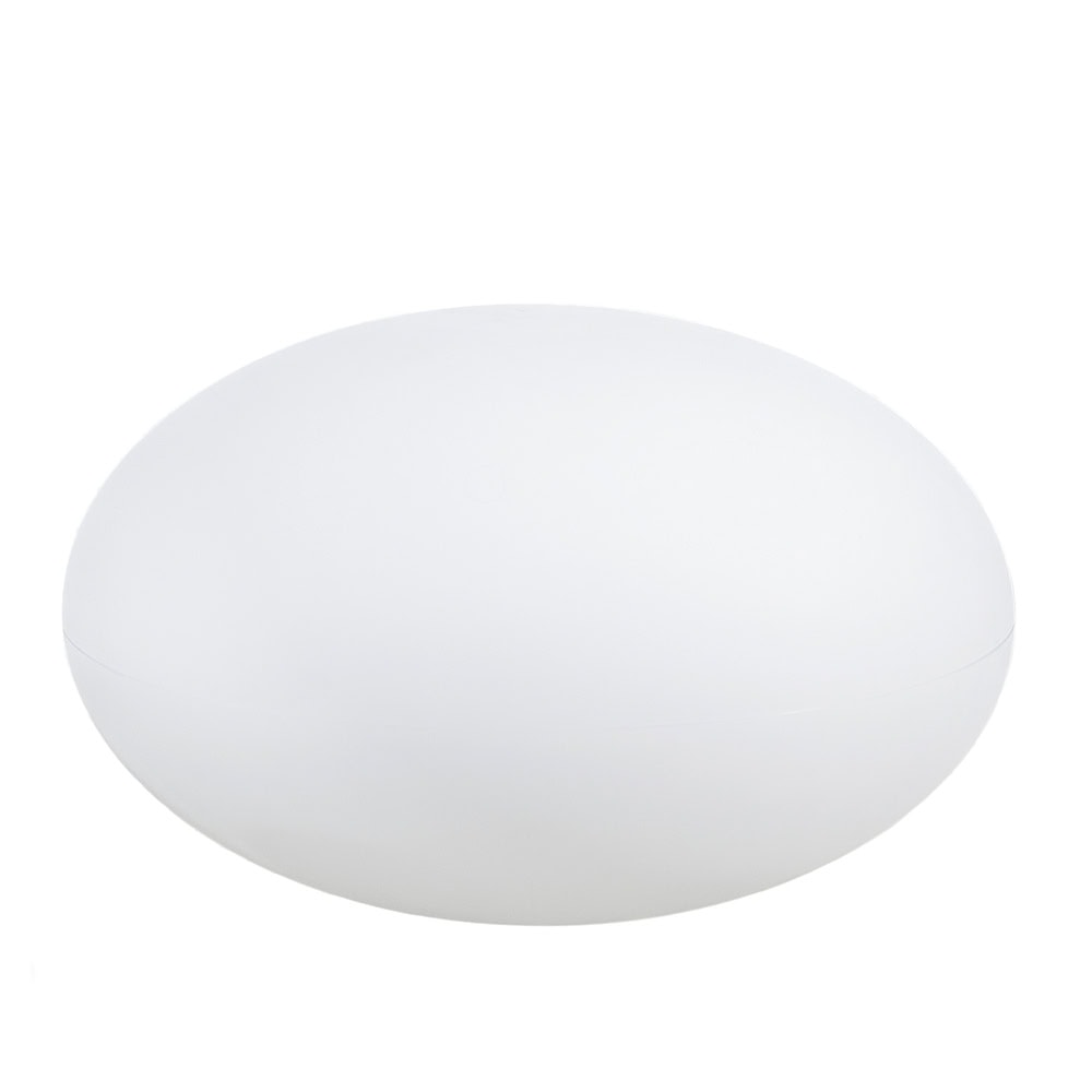 Eggy Pop - 55