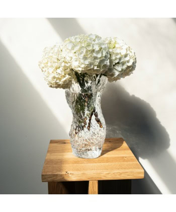 Ostrea Rock Vase  - Clear