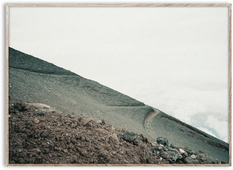 Down 50 x 70 cm