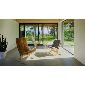 Alternative view of Siesta Ovis - maple