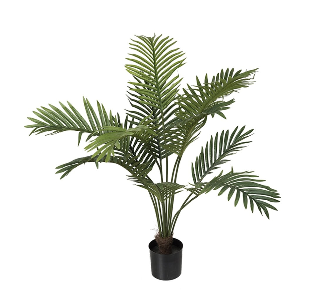 Palme