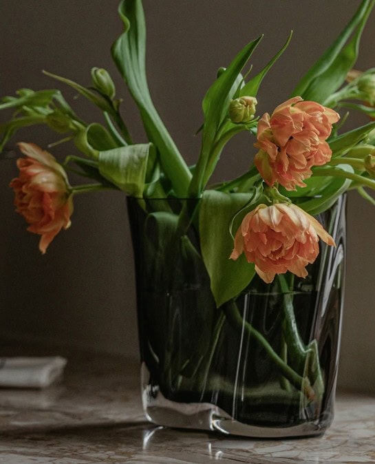 Aer Vase - Bilde 2