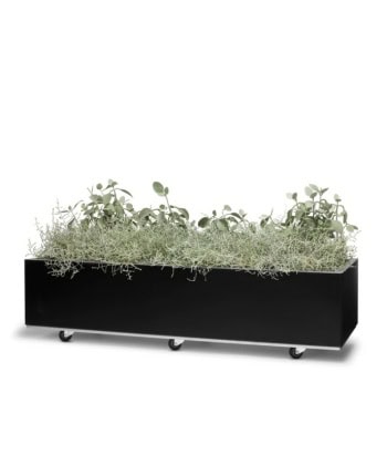 BEDD 120x40 H25 Sort Lakk