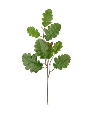 Eikeblad 60 cm
