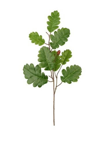 Eikeblad 60 cm