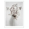 spring flower
