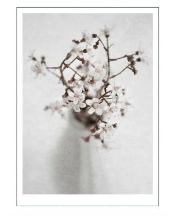 spring flower