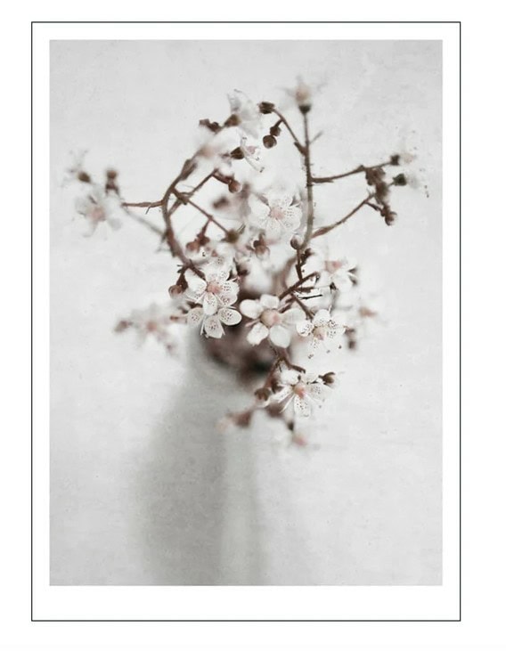 spring flower