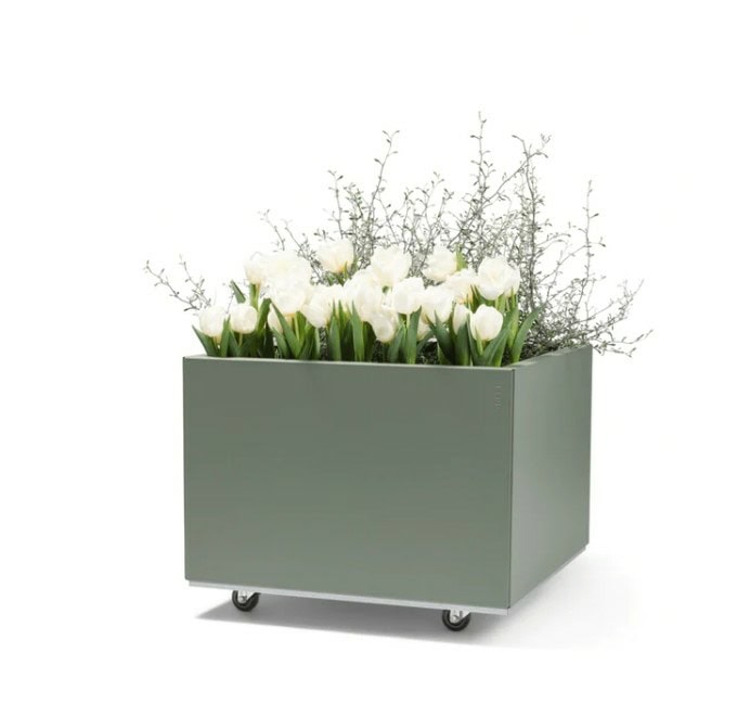 BEDD 60x60H40 -Green -Limited edition