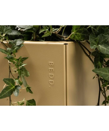 Alternative view of BEDD 60x60H40 -Gold -Limited edition
