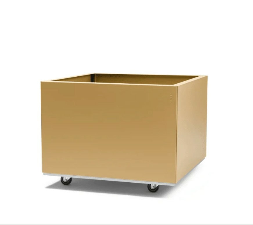 BEDD 60x60H40 -Gold -Limited edition - Bilde 3