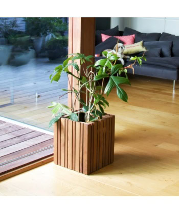Alternative view of GrowMORE -Mørk eik