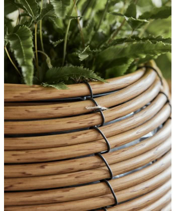 Potte- Gleen, Large - Bilde 3