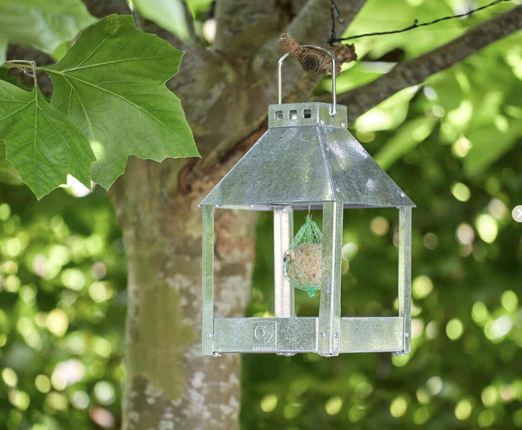 Fulgebrett ´Birdy Eat´-Galvanisert - Bilde 3