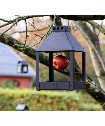 Alternative view of Fulgebrett ´Birdy Eat´-Sort