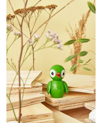 Spring Fugler - Bilde 8
