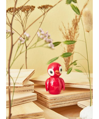Alternative view of Spring Fugler