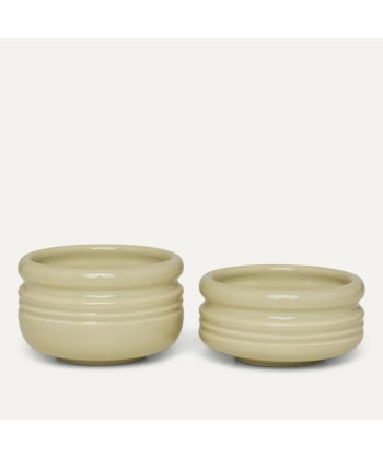 Legacy Boller mini, pistachio -2pk