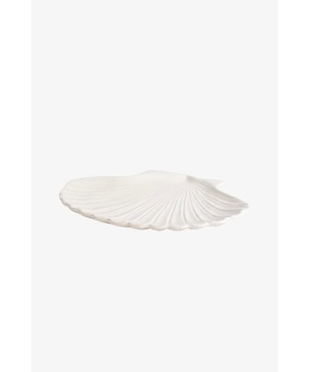 Alternative view of Shell XL -Fat