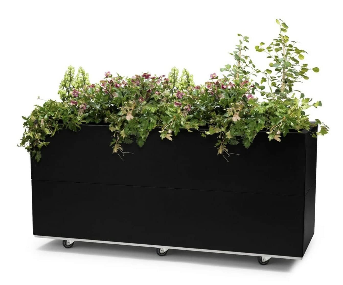 BEDD 120x40 H50 Sort Lakk