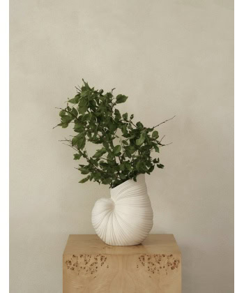 Alternative view of Shell Vase
