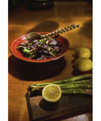 Zion Salatbestikk -Natur - Bilde 3