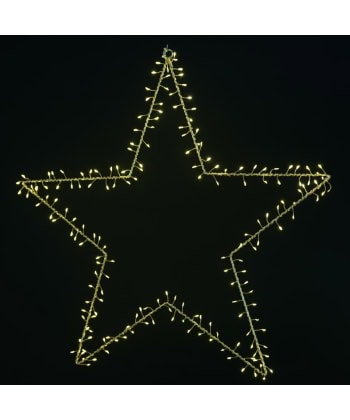 Adventsstjerne -Livia Cluster