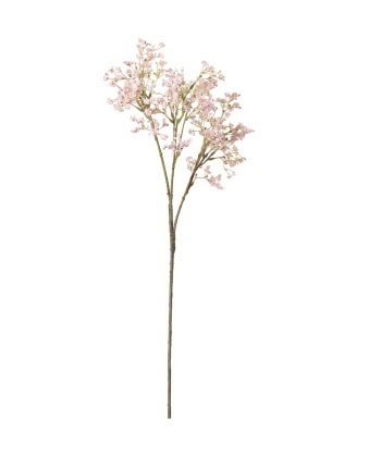 Brudeslør -Rosa