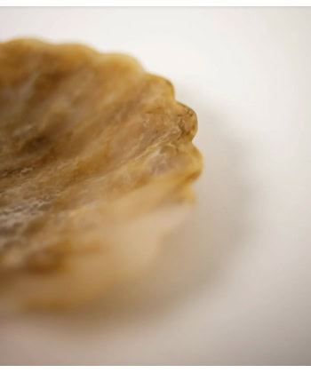 Alternative view of Resin Serveringsfat