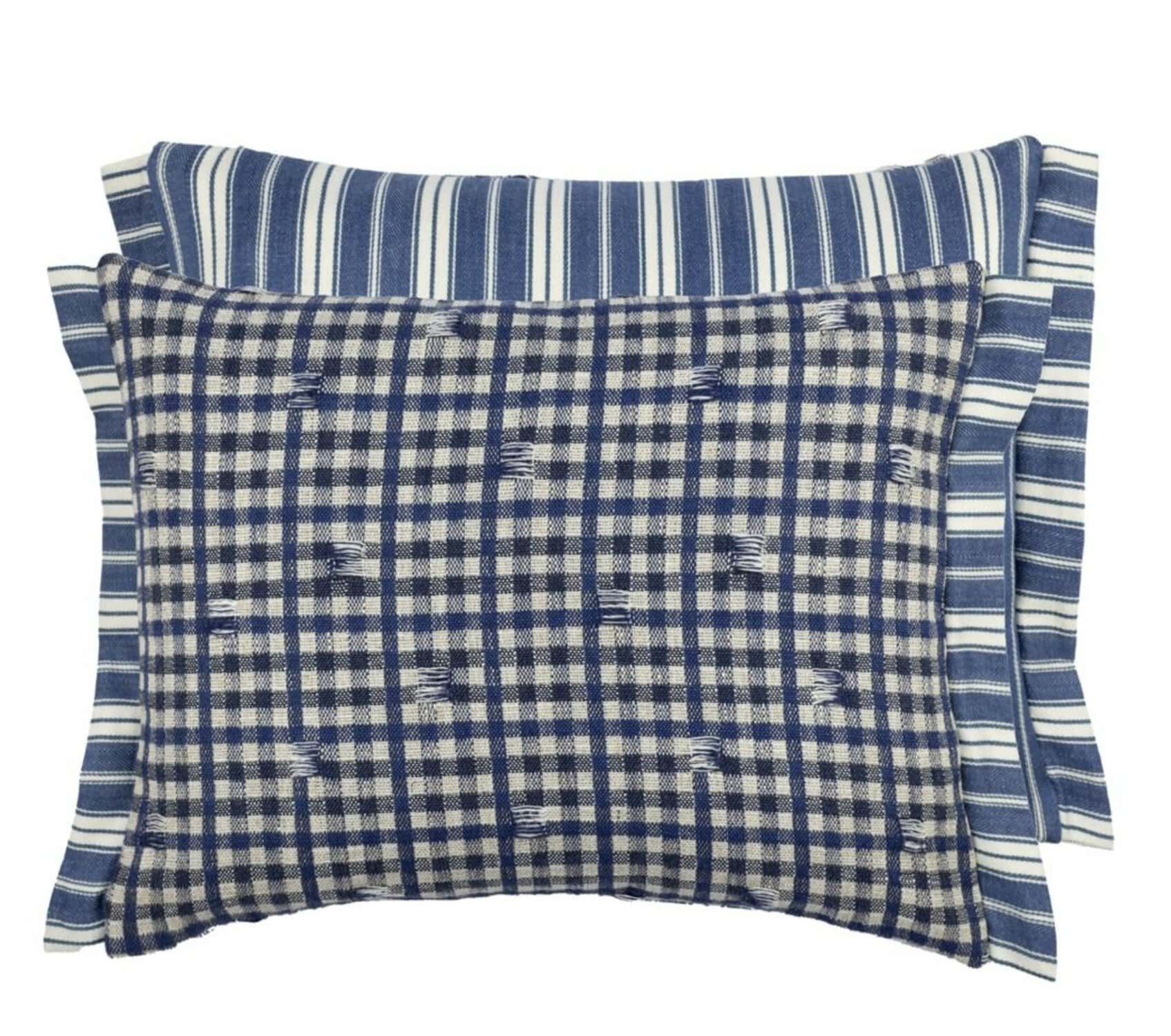 Toile Vichy Indigo Pute