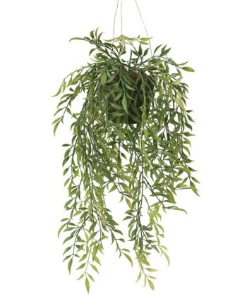 Hoya -Hengende plante 47cm