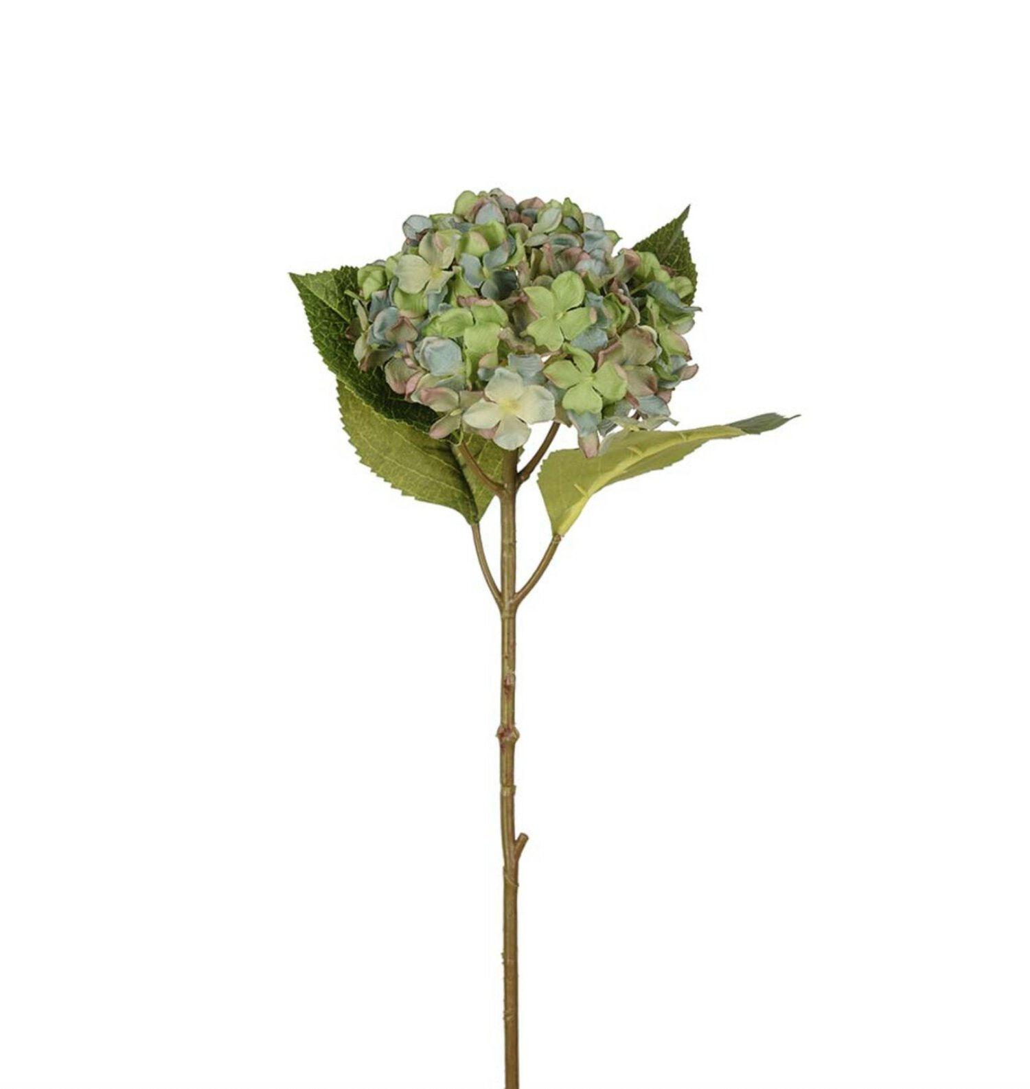 Hortensia 40cm -Blå/grønn