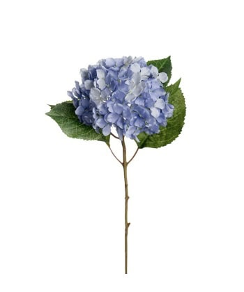 Hortensia 40cm -Blå