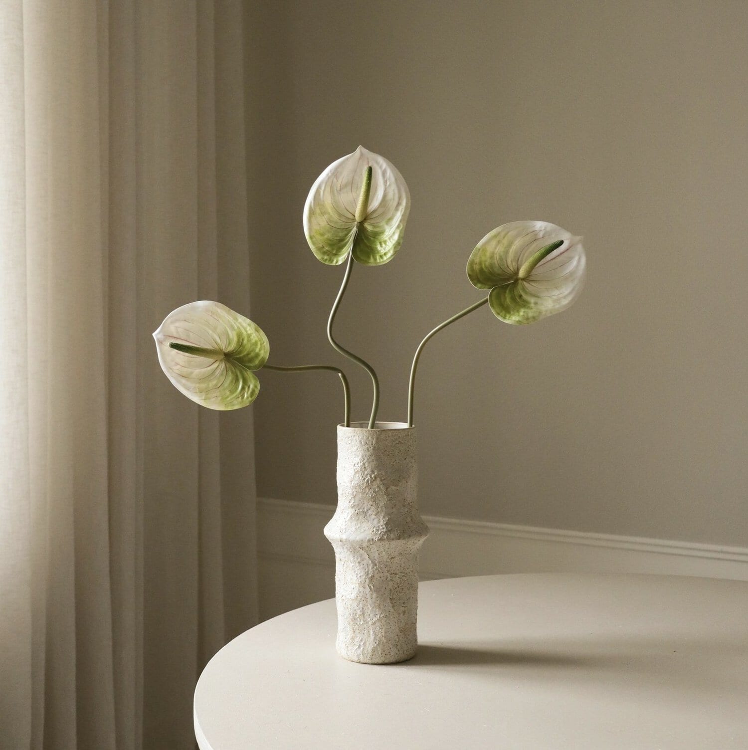 Anthurium, Lys grønn - Bilde 4