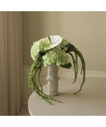 Alternative view of Hortensia, Lys grønn