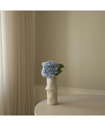 Hortensia, Lys blå